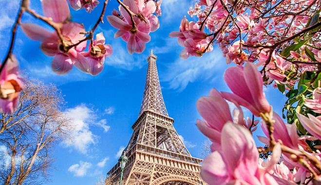 Весенний Париж + тюльпаны Кёкенхофа - Изображение 1