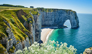 Весенний Париж + тюльпаны Кёкенхофа - Изображение 3